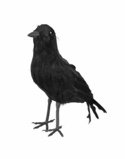 Kraai (23x10cm) -PartyWonders Store kraai 23x10cm 2