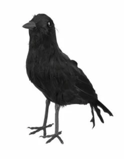 Kraai (23x10cm)