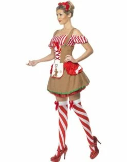 Peperkoek Dames Kostuum -PartyWonders Store peperkoek dames kostuum 2