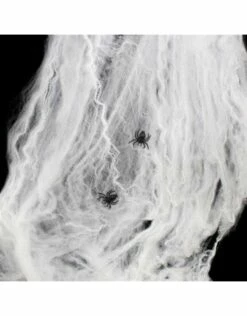 Spinnenweb Met 4 Spinnen